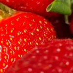 Zakaj odrezati cvetove mladih jagod: kruta aritmetika prihodnjega pridelka zakaj-odrezati-cvetove-mladih-jagod-kruta-aritmetika-prihodnjega-pridelka.jpg